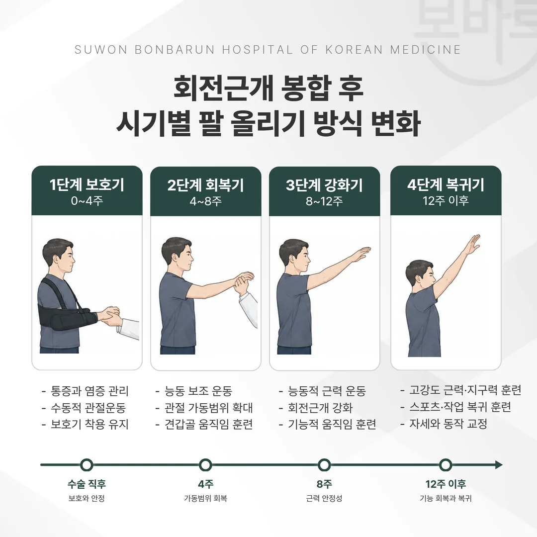 회전근개 봉합 수술 후 시기별 재활 초점 안내